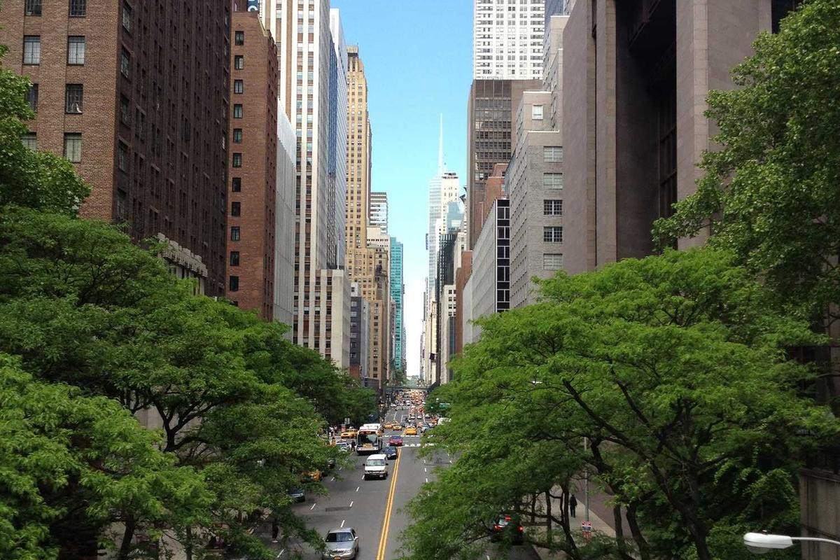 Navigating Nostalgia: A Maritime Historian's Guide to Hong Kong's Sheung Wan
